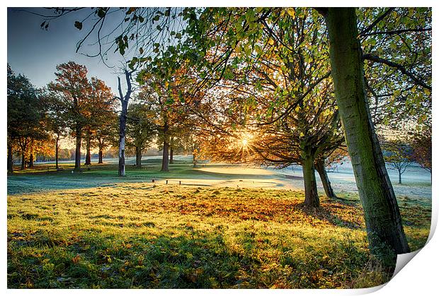 Rays of Autumn Print by Alex Clark