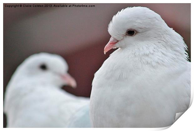 White Doves Print by Claire Colston