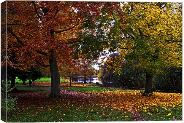 Autumn at Osterley Park Canvas Print by Ian Lewis