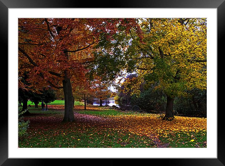 Autumn at Osterley Park Framed Mounted Print by Ian Lewis