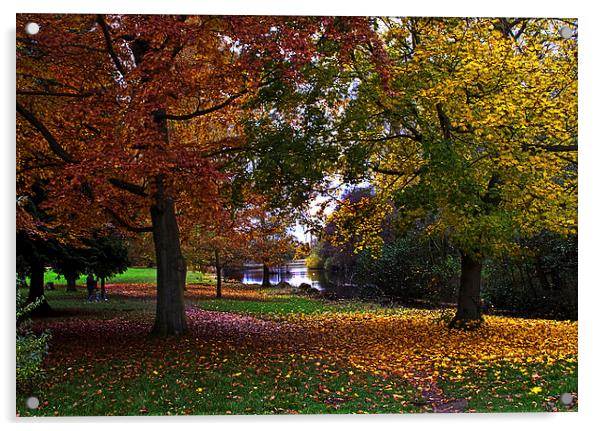 Autumn at Osterley Park Acrylic by Ian Lewis