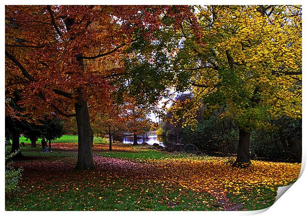 Autumn at Osterley Park Print by Ian Lewis