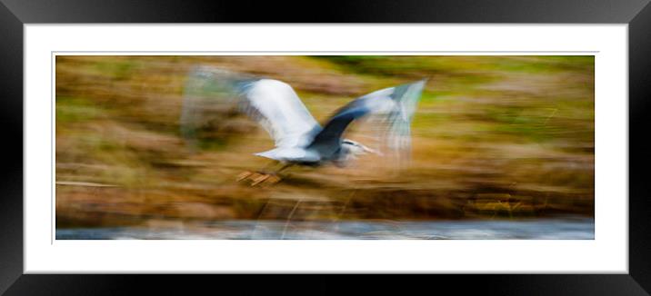 Heroon on the move Framed Mounted Print by Peter Lennon