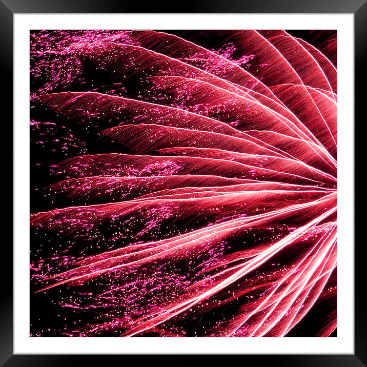 neon pink firework Framed Mounted Print by Heather Newton
