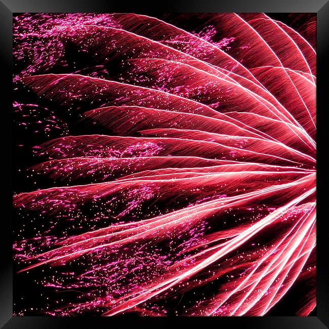 neon pink firework Framed Print by Heather Newton