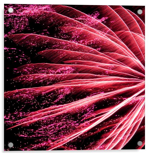 neon pink firework Acrylic by Heather Newton