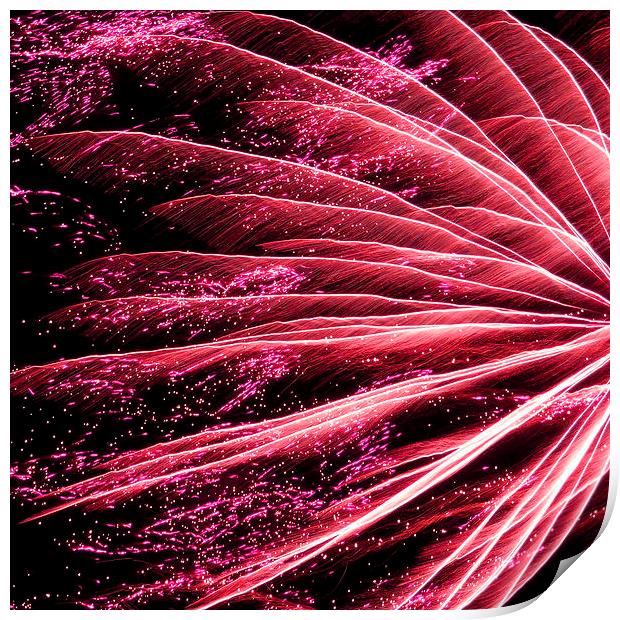 neon pink firework Print by Heather Newton