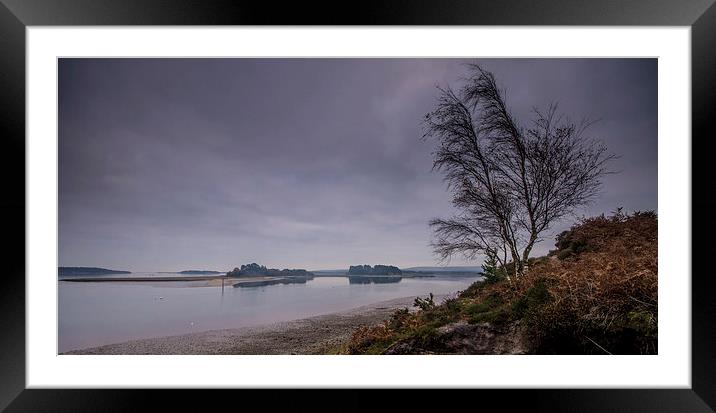 Harbour Islands Framed Mounted Print by Phil Wareham