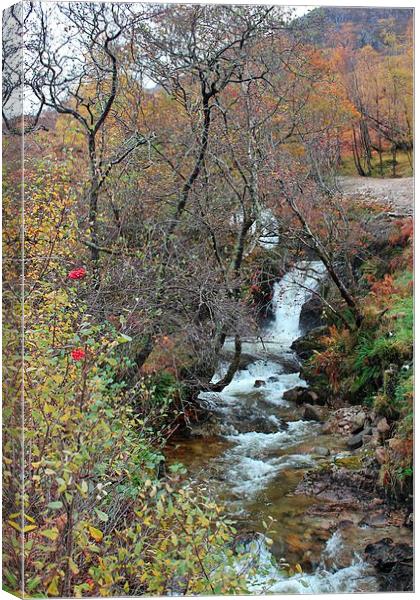 Waterfall in Scotland Canvas Print by Claire Colston