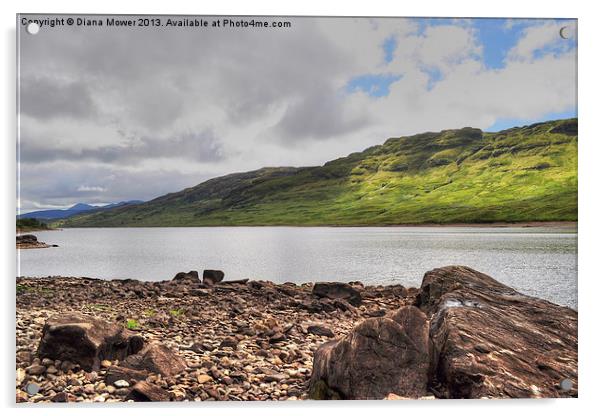 Loch Arklet Scotland Acrylic by Diana Mower