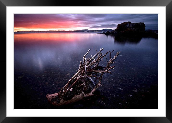 Branching out! Framed Mounted Print by Lorraine Paterson