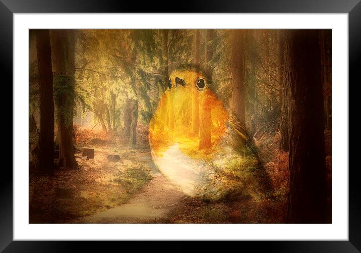 Robin In The Woods Framed Mounted Print by Louise Godwin