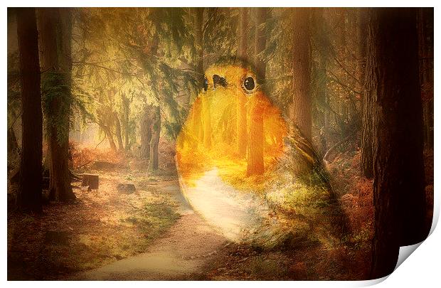 Robin In The Woods Print by Louise Godwin