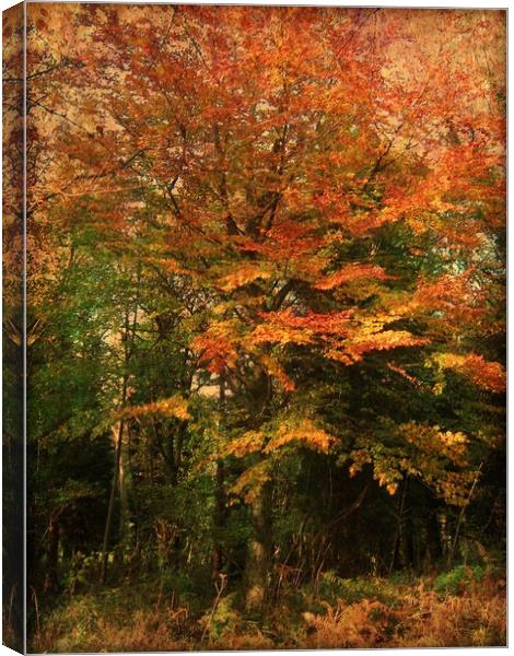 Colour Me Autumn. Canvas Print by Heather Goodwin