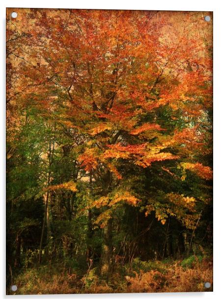 Colour Me Autumn. Acrylic by Heather Goodwin