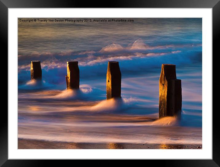 Groynes At Sunrise Framed Mounted Print by Tracey Yeo