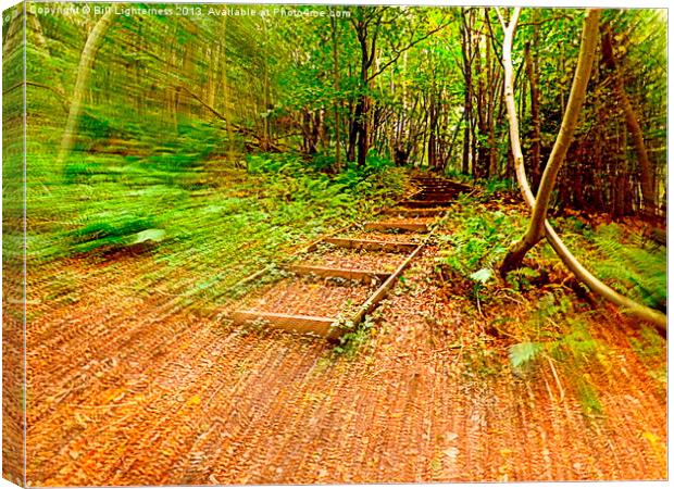 Running through the forest Canvas Print by Bill Lighterness