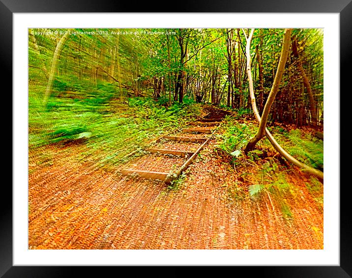 Running through the forest Framed Mounted Print by Bill Lighterness