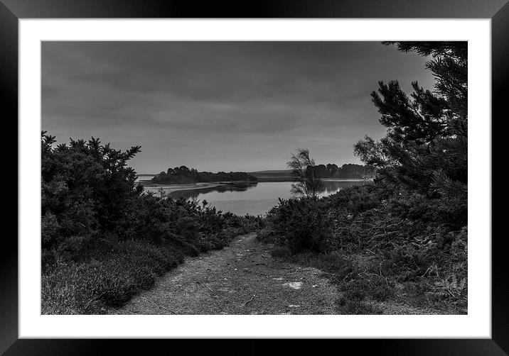 Pathway to the shore Framed Mounted Print by Phil Wareham
