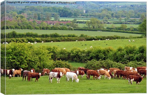 Grazing Canvas Print by graham young