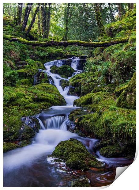 Venford Brook Print by Tracey Yeo