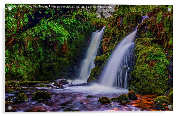 The Secret Waterfall Acrylic by Tracey Yeo