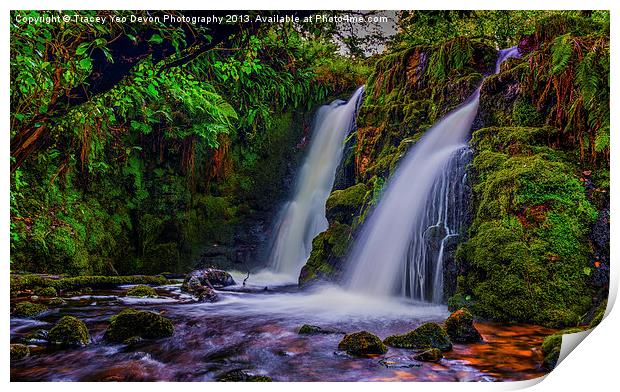 The Secret Waterfall Print by Tracey Yeo