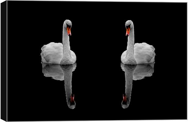 Mute reflection Canvas Print by Macrae Images