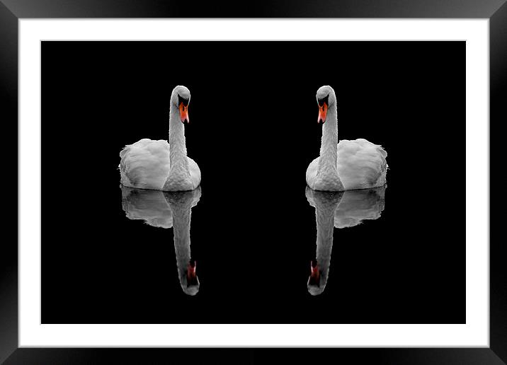 Mute reflection Framed Mounted Print by Macrae Images