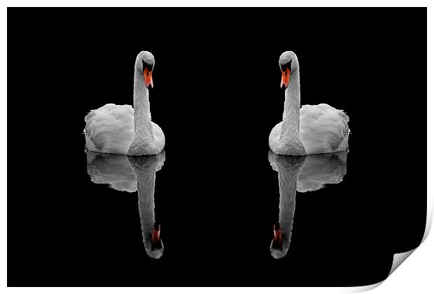 Mute reflection Print by Macrae Images