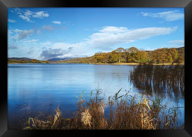 Esthwaite Water. Framed Print by Liam Grant