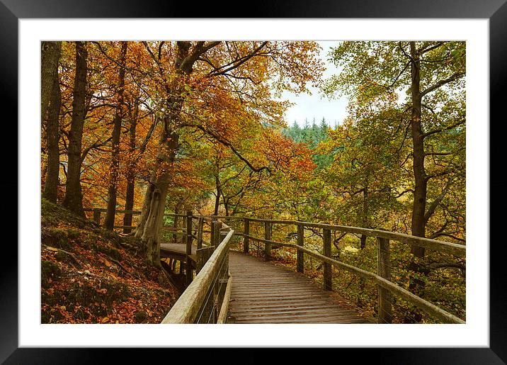 Walkway on the Keswick disused railway path to Pen Framed Mounted Print by Liam Grant