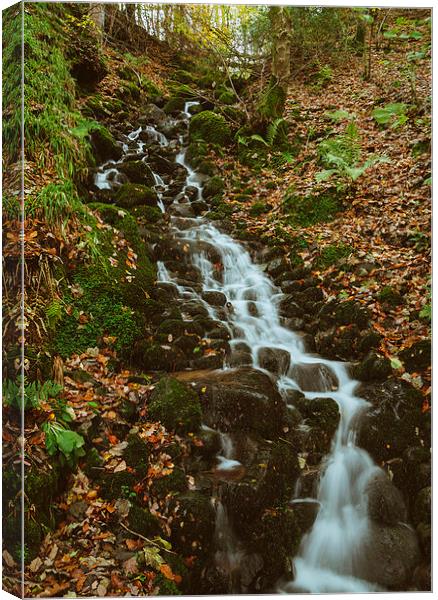 Small waterfall along the Keswick disused railway above the Rive Canvas Print by Liam Grant