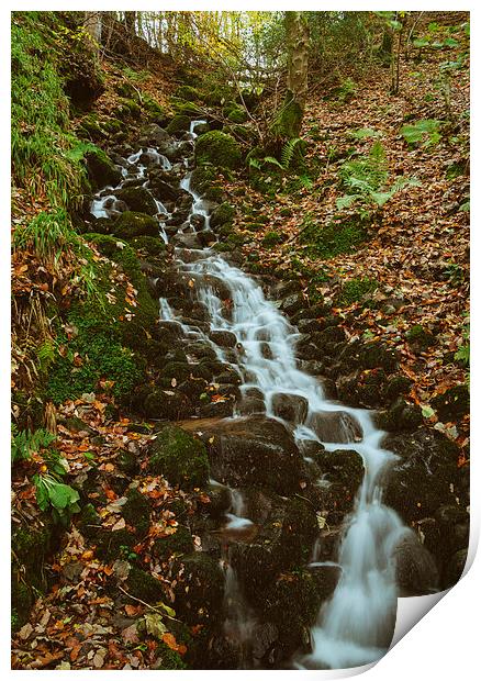Small waterfall along the Keswick disused railway above the Rive Print by Liam Grant