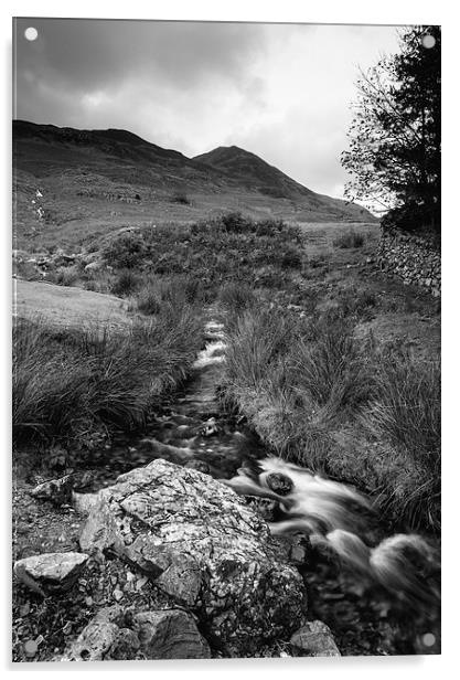 Cinnerdale Beck above Crummock Water with Whiteles Acrylic by Liam Grant