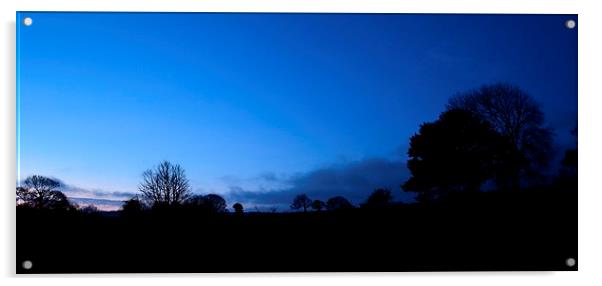 Dawn silhouette Acrylic by Neil Ravenscroft