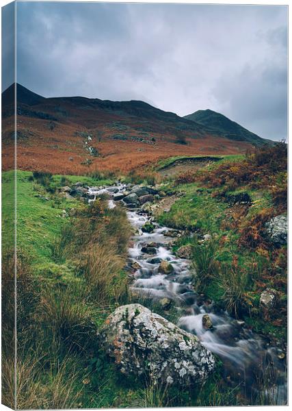 Cinnerdale Beck with Whiteless Pike beyond. Canvas Print by Liam Grant