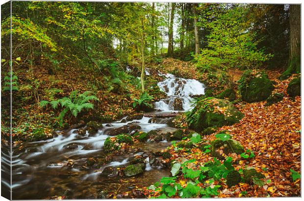 Waterfall to Lake Windermere at Millerground Landi Canvas Print by Liam Grant