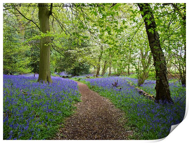 Bluebell Woodland with Blossom Confetti Print by Elizabeth Debenham