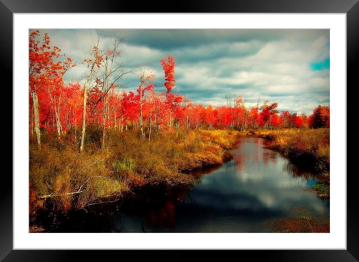 maine color Framed Mounted Print by dale rys (LP)