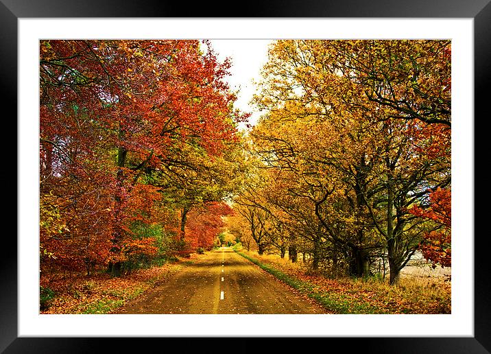 The Road To The Fall Framed Mounted Print by Darren Burroughs