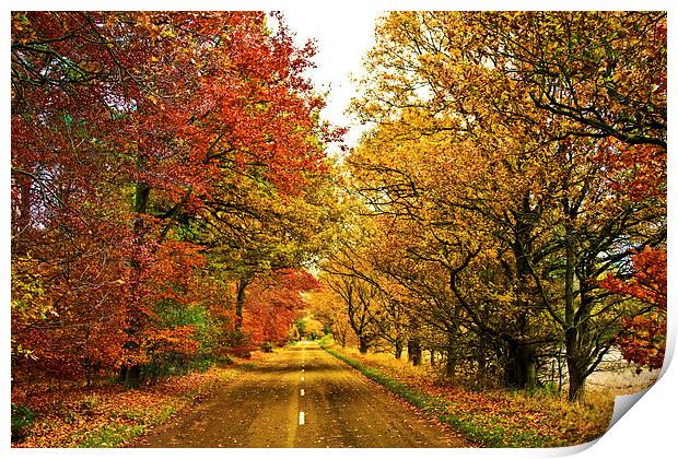 The Road To The Fall Print by Darren Burroughs