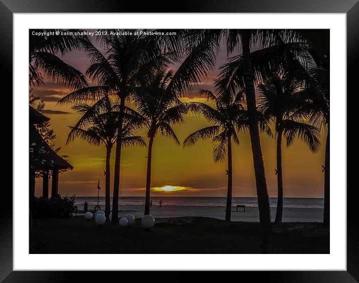 Borneo Palms Framed Mounted Print by colin chalkley