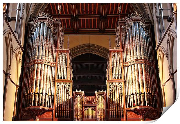 Rochester Cathedral, Organ Pipes Print by Robert Cane