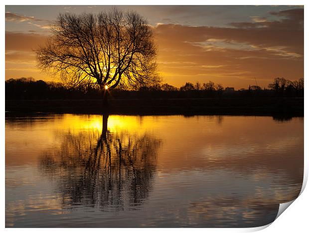 Golden Sunrise Print by Martin Patten