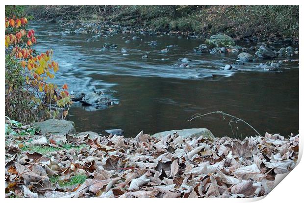 Frosty Leaves, River Ardle Print by Claire Colston