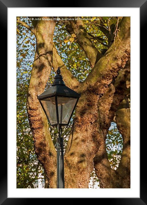 Lamp light. Framed Mounted Print by John Morgan
