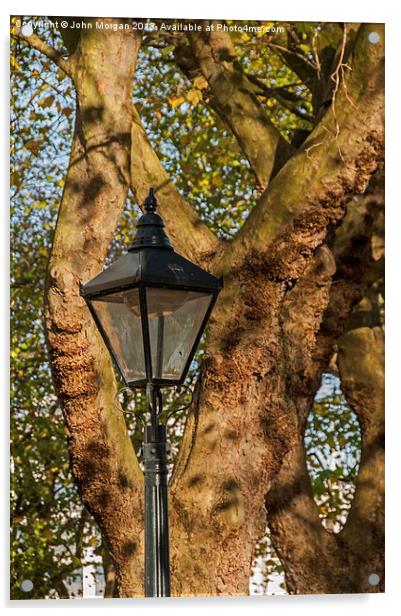 Lamp light. Acrylic by John Morgan