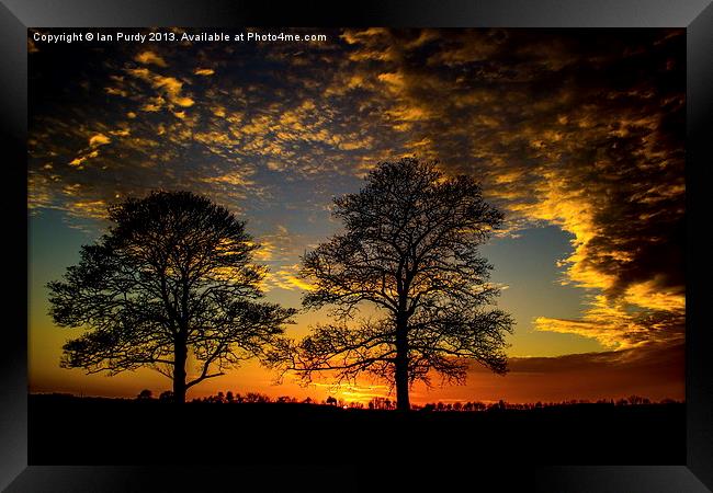 Two Trees at sunset Framed Print by Ian Purdy