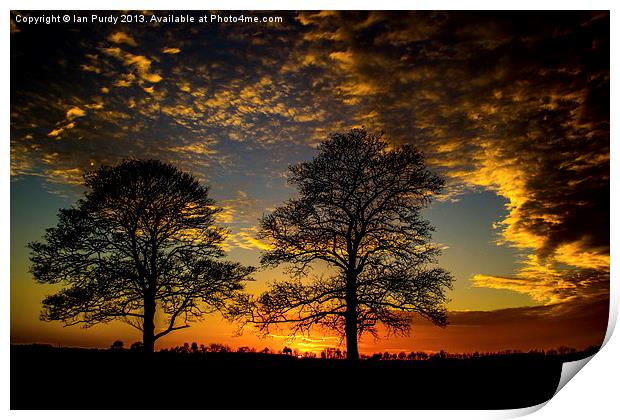 Two Trees at sunset Print by Ian Purdy